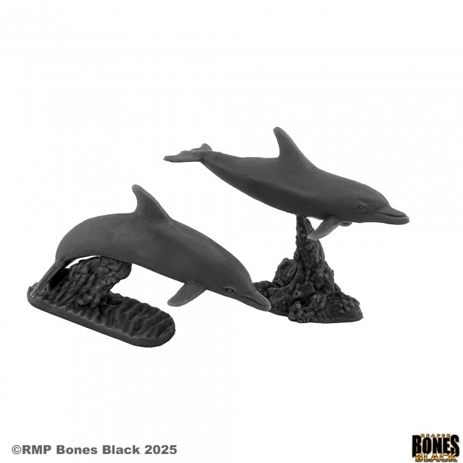 RPR Dolphins (2)