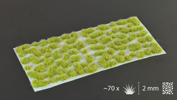 Gamer's Grass  Moss 2mm Wild