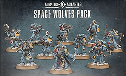 Space Wolves Pack/Grey Hunters